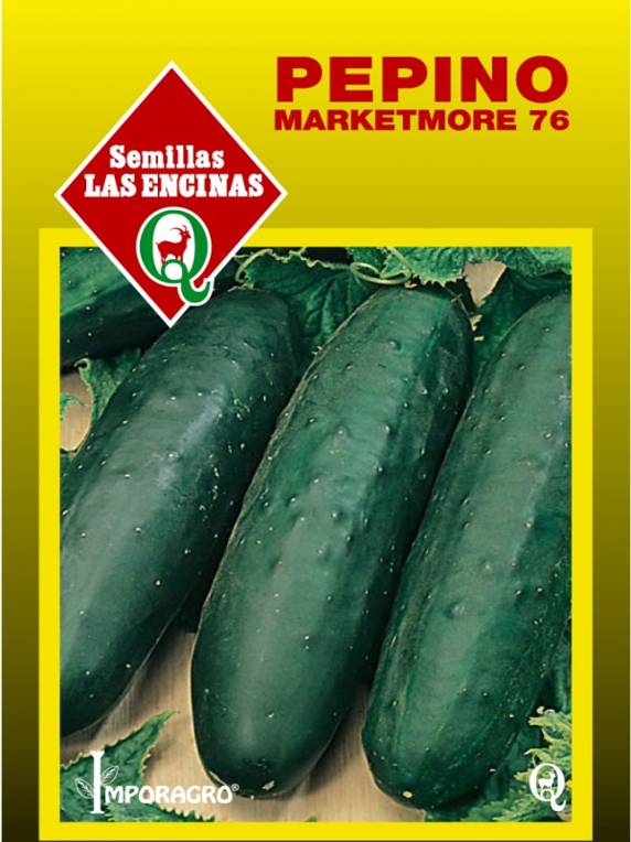 Pepino-Marketmore-Huertos-Alma-2.jpg