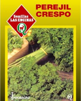 Semillas de Perejil Crespo