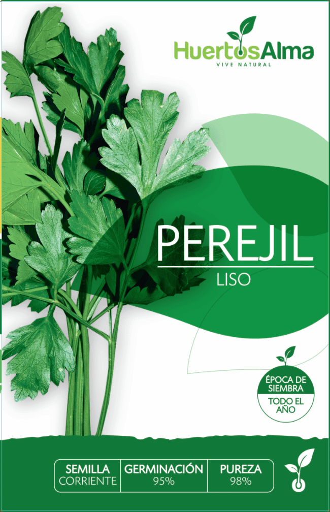 Perejil-Liso-2.png