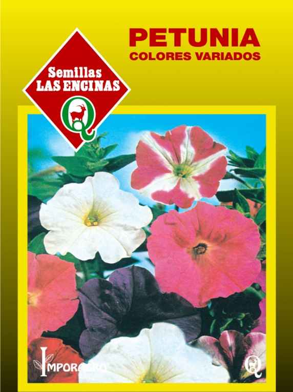 Petunia-Huertos-Alma-2.jpg