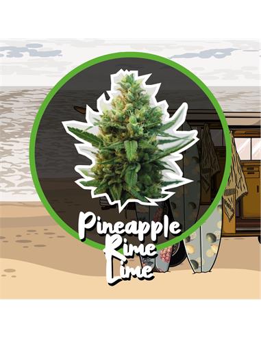 Pineapple Rime Line Auto - Delirium Seeds