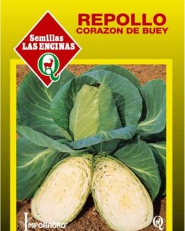 Semillas de Repollo Corazón de Buey