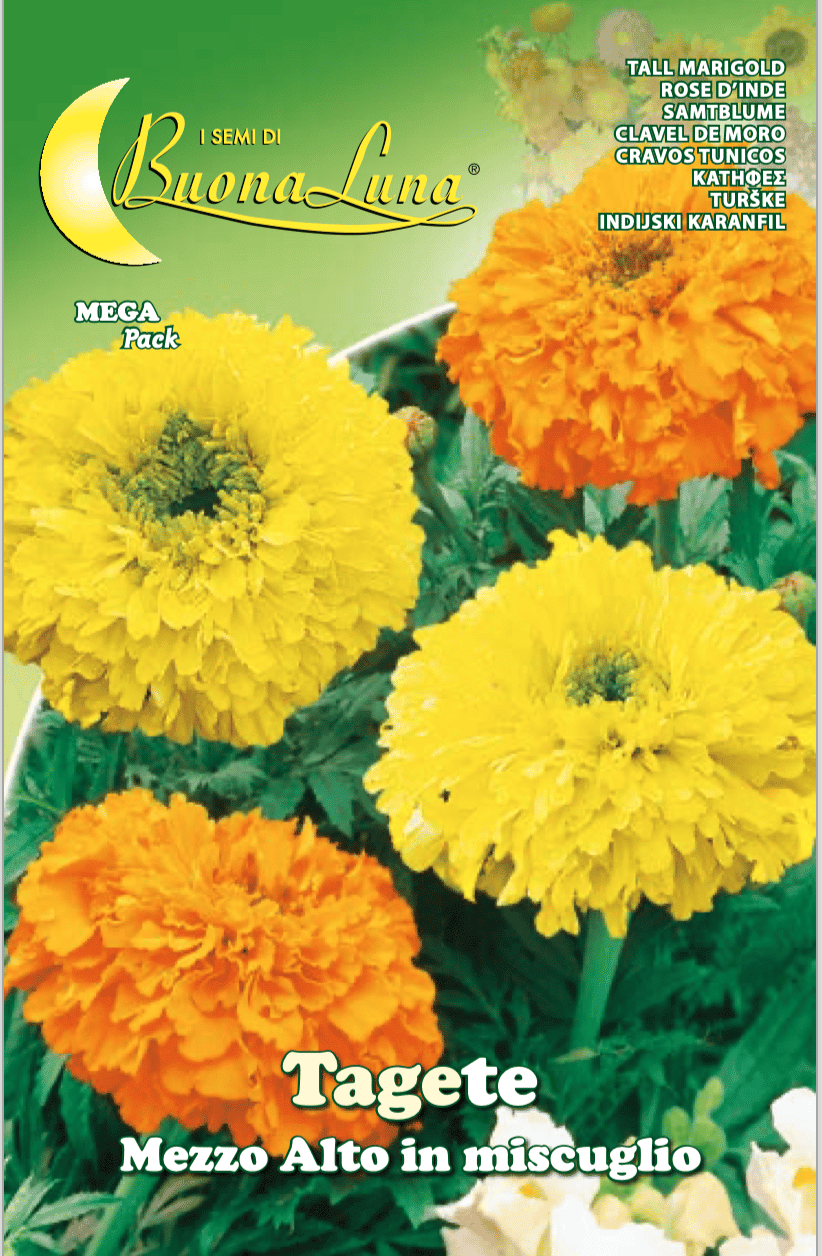 Semillas-De-Tageta-Mezzo-Alto-Mix-e1627779835450-2.png