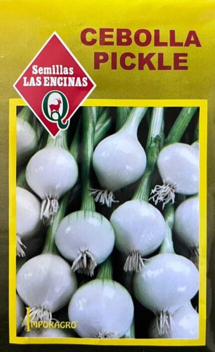Semillas de Cebolla Pickle