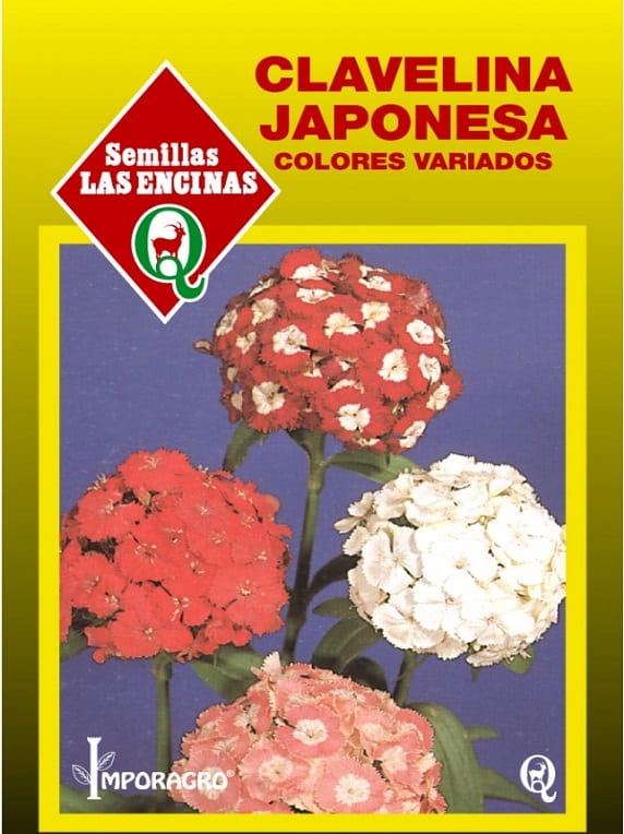 Semillas-de-Clavelina-Japonesa-en-Sobre-2.jpg