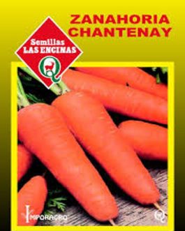 Semillas de Zanahoria Chantenay Red Cored