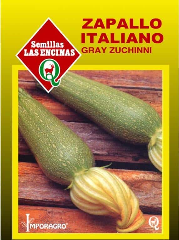 Zapallito-Italiano-Grey-Zucchini-Huertos-Alma-2.jpg