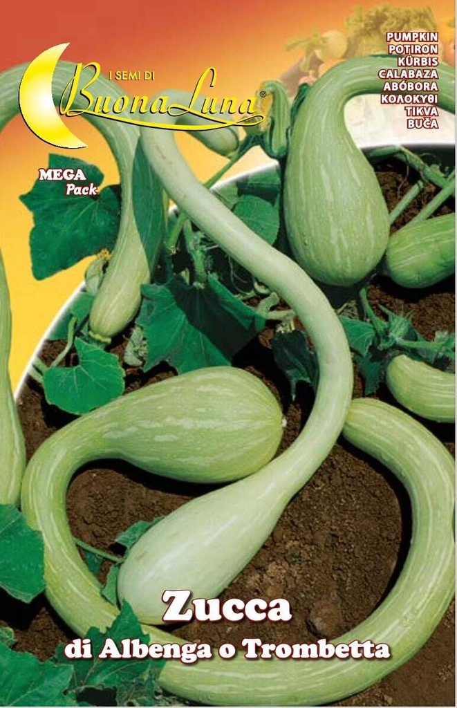 a2eb51dafcce9e8ea3a405ec977d36df_Semillas_De_Zapallo_Albenga_Escalada_O_Trompeta_45514.jpeg