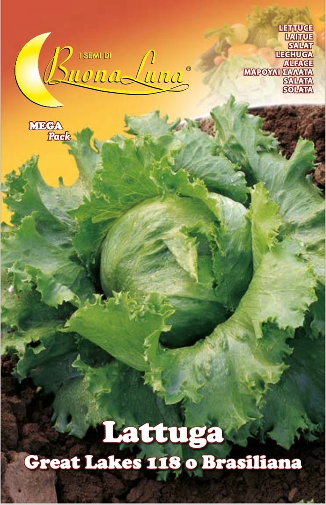 a36506569ff67e3c5e7fb94210b2dfc8_Semillas_De_Lechuga_Great_Lakes_118_45429.jpeg