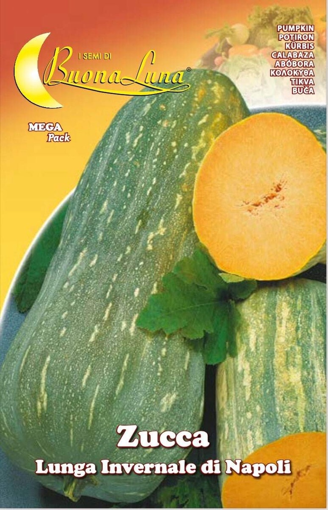 b94b588c86a296ea82f7293cdb378791_Semillas_De_Zapallo_Largo_De_Napoles_45515.jpeg