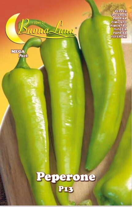 Semillas De Peperone P13