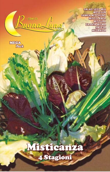 Semillas De Mezcla 4 Estaciones