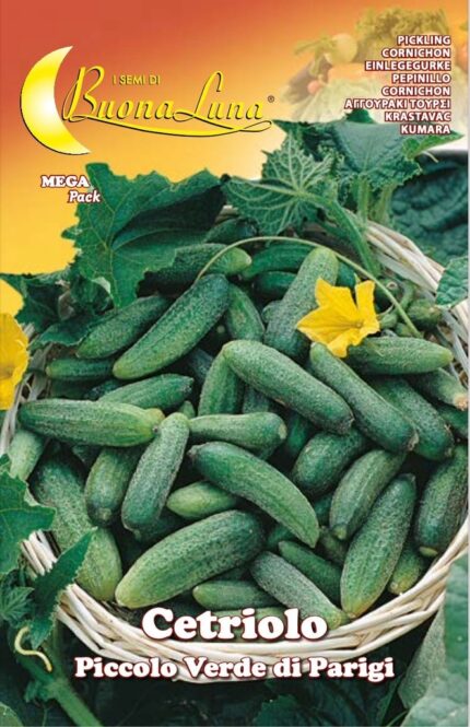 Semillas De Pepino Tortarello Verde