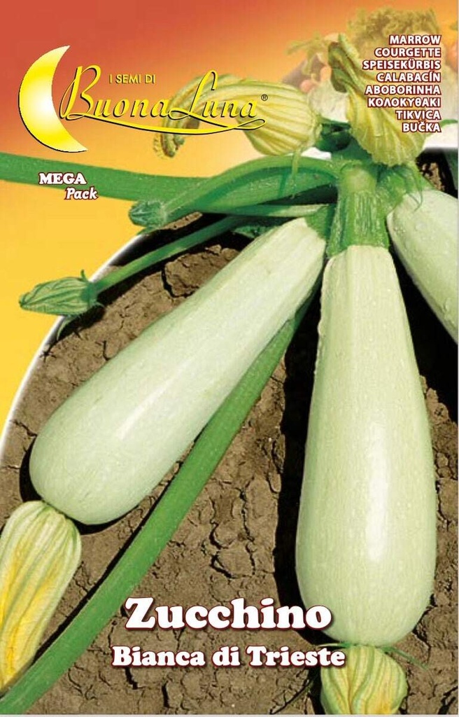 edf42442e507cb2a013d84ccdc0f18f2_Semillas_De_Zapallo_Blanco_De_Trieste_45505.jpeg