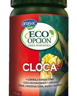 Cloca Eco Opción