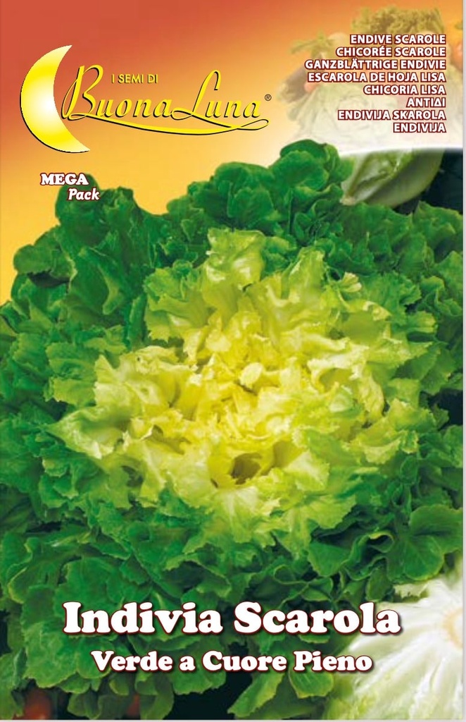 f045773243eb7a11be43cae4b6b0786a_Semillas_De_Escarola_Endivia_Verde_Corazon_Lleno_45393.jpeg