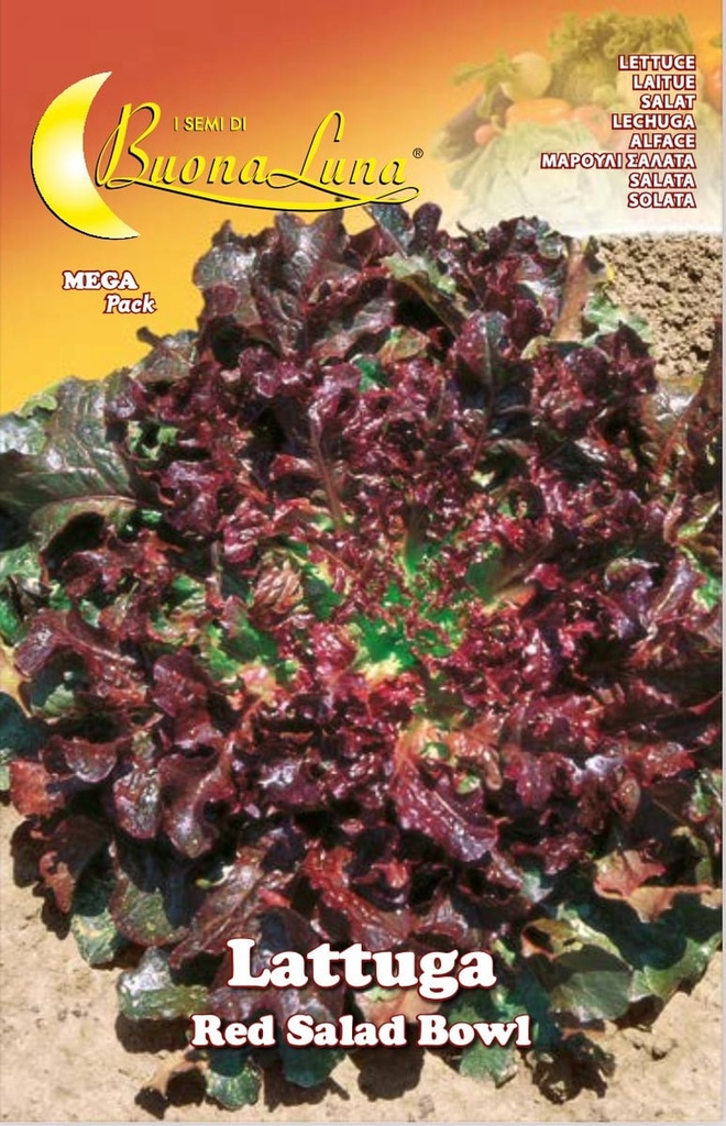f1391b8e72ad6f0eb3b2219553e4bde4_Semillas_De_Lechuga_Red_Salad_Bowl_45435.jpeg