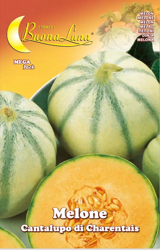 f1af6d95399ec763d6f5654669246809_Semillas_De_Melon_Cantalupo_De_Charentais_45439.jpeg