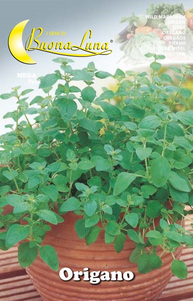 f2b9fea5d088fe77054b835908400abf_Semillas_De_Oregano_45576.jpeg