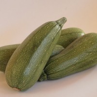 Zapallito Italiano Grey Zucchini, Blanco 500