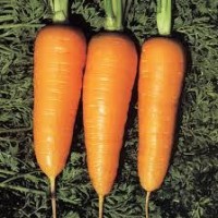 Zanahoria Chantenay Red Cored 500 Grs